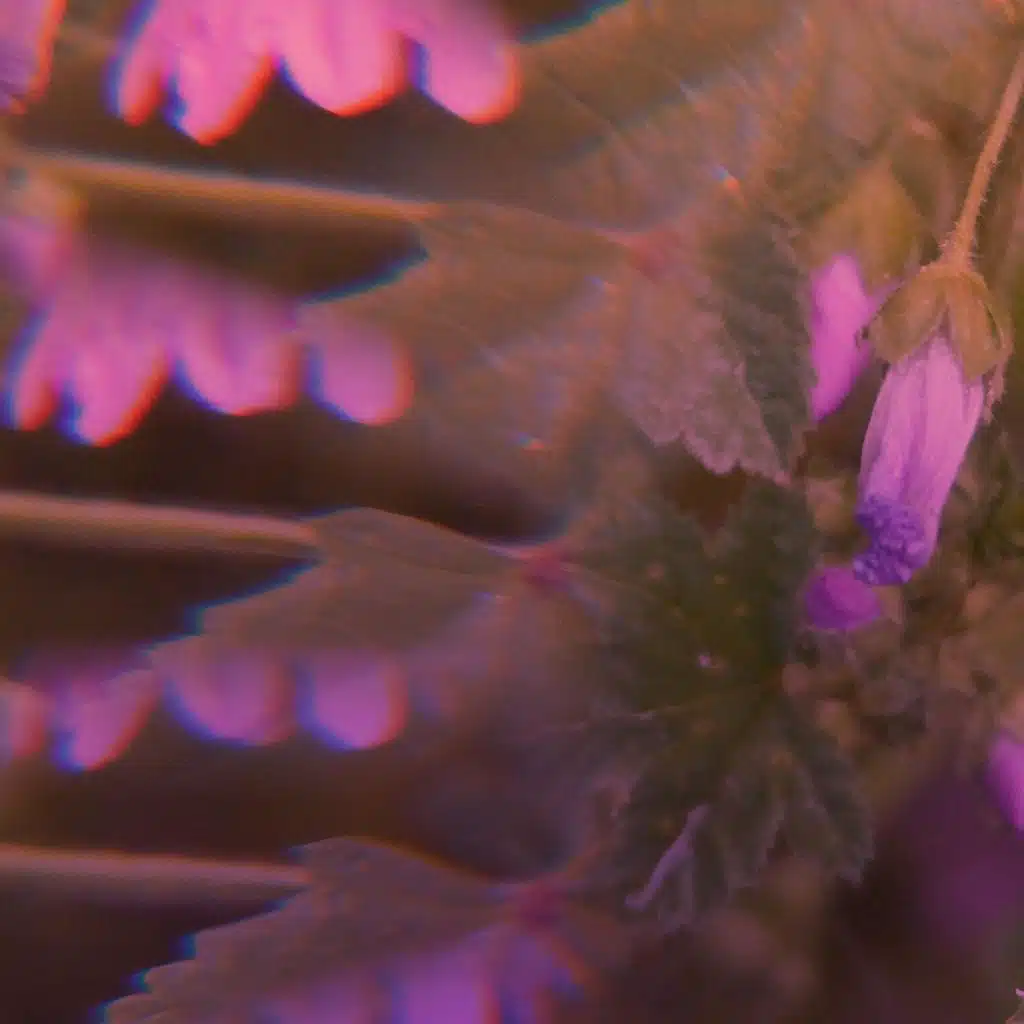 Rain Check (The Day After)