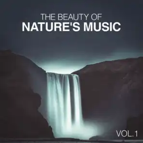 The Beauty of Nature's Music