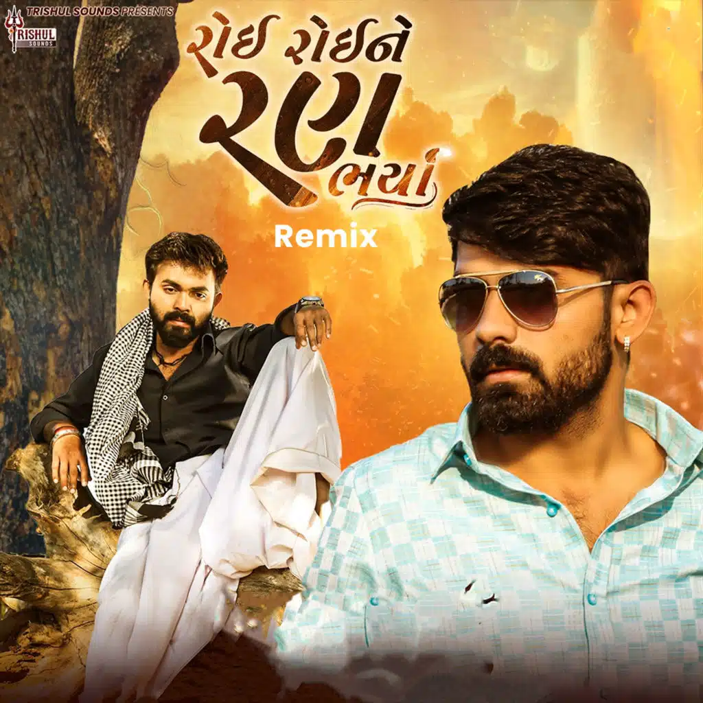 Roi Roi Ne Ran Bharya (Remix) [feat. Hari Surat]