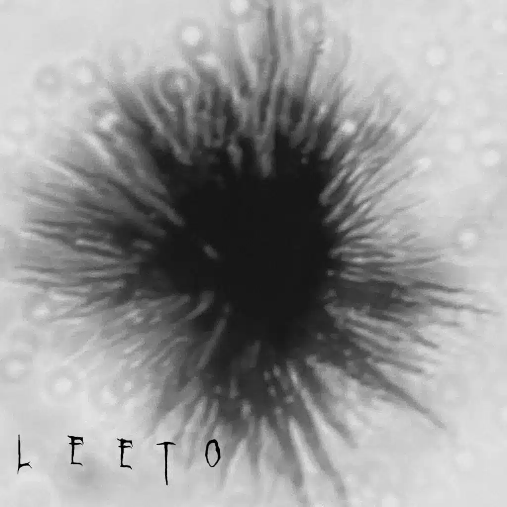 LEETO