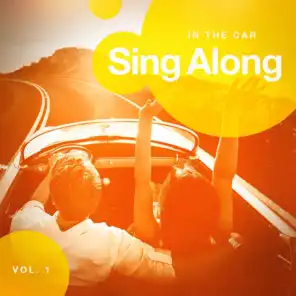 Sing Along in the Car, Vol. 1