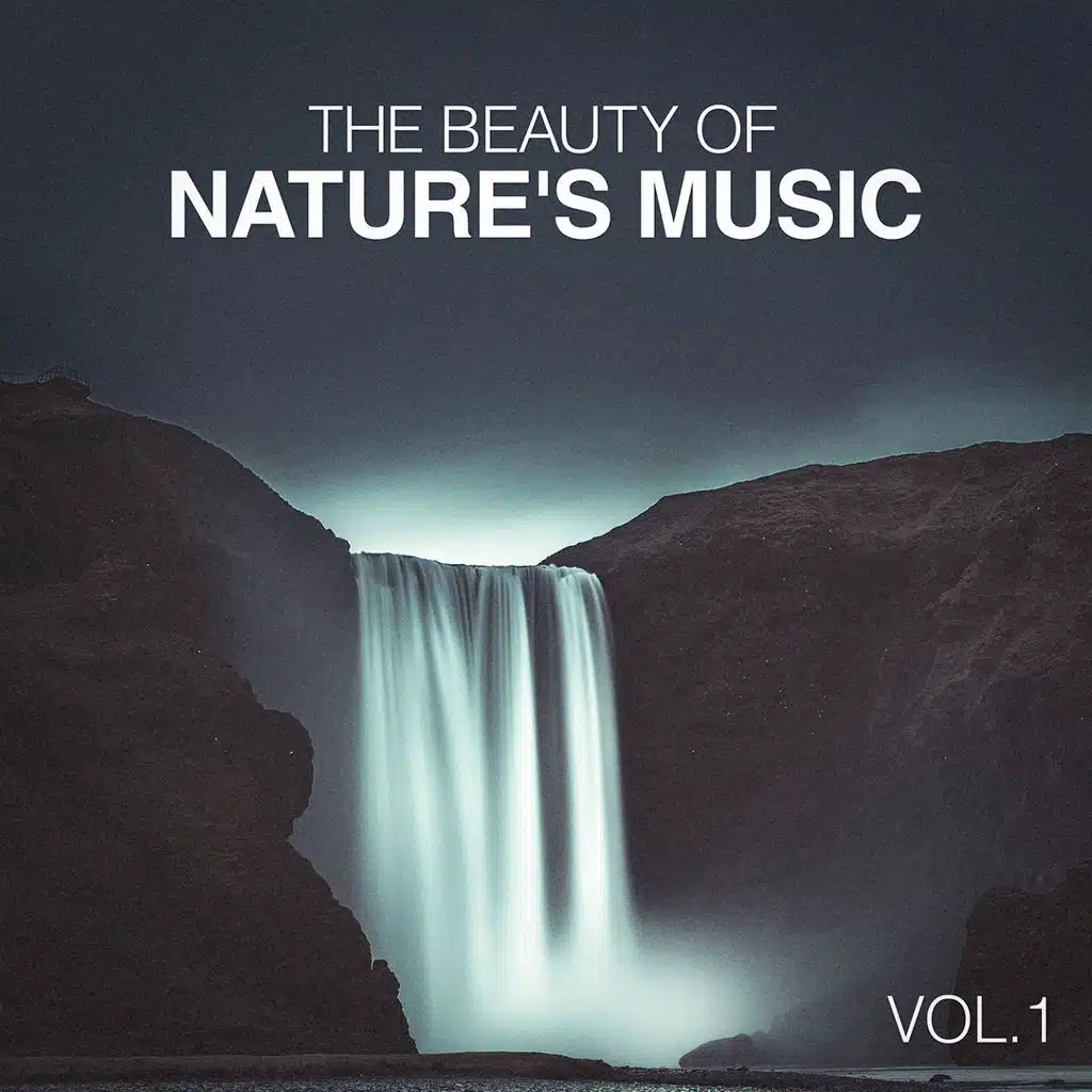 Sounds from a Grove: Spring, Winds and the Blackbird