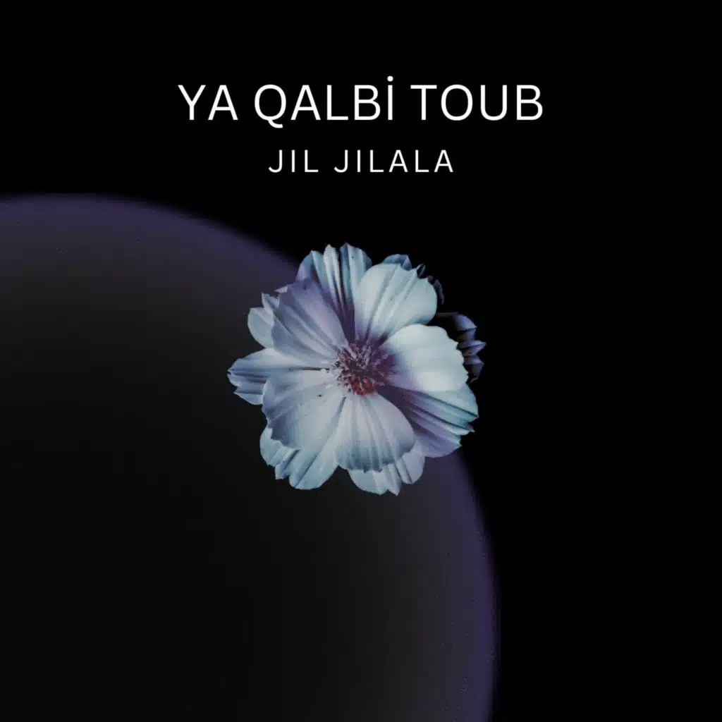 Ya Qalbi Toub (feat. Houcine Toulali)