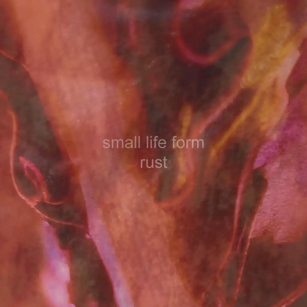Small Life Form