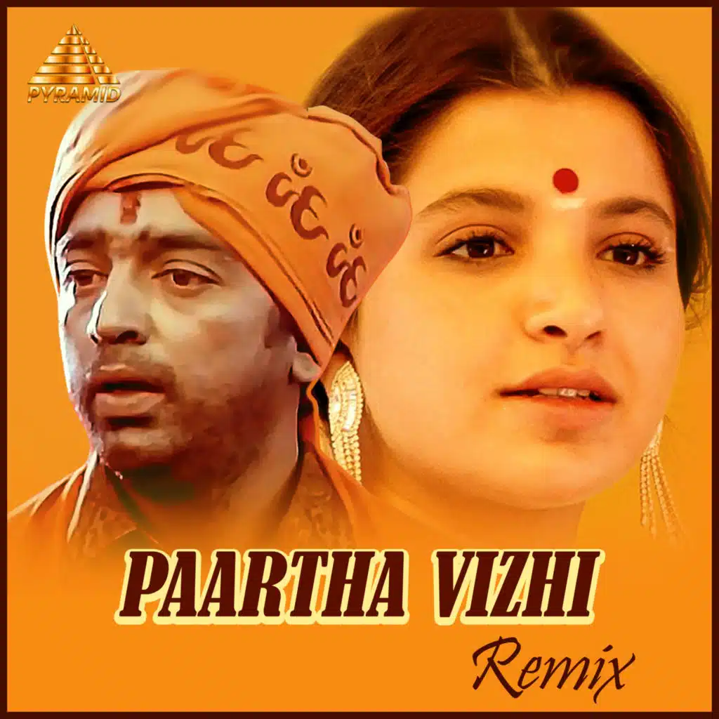 Paartha Vizhi - Remix