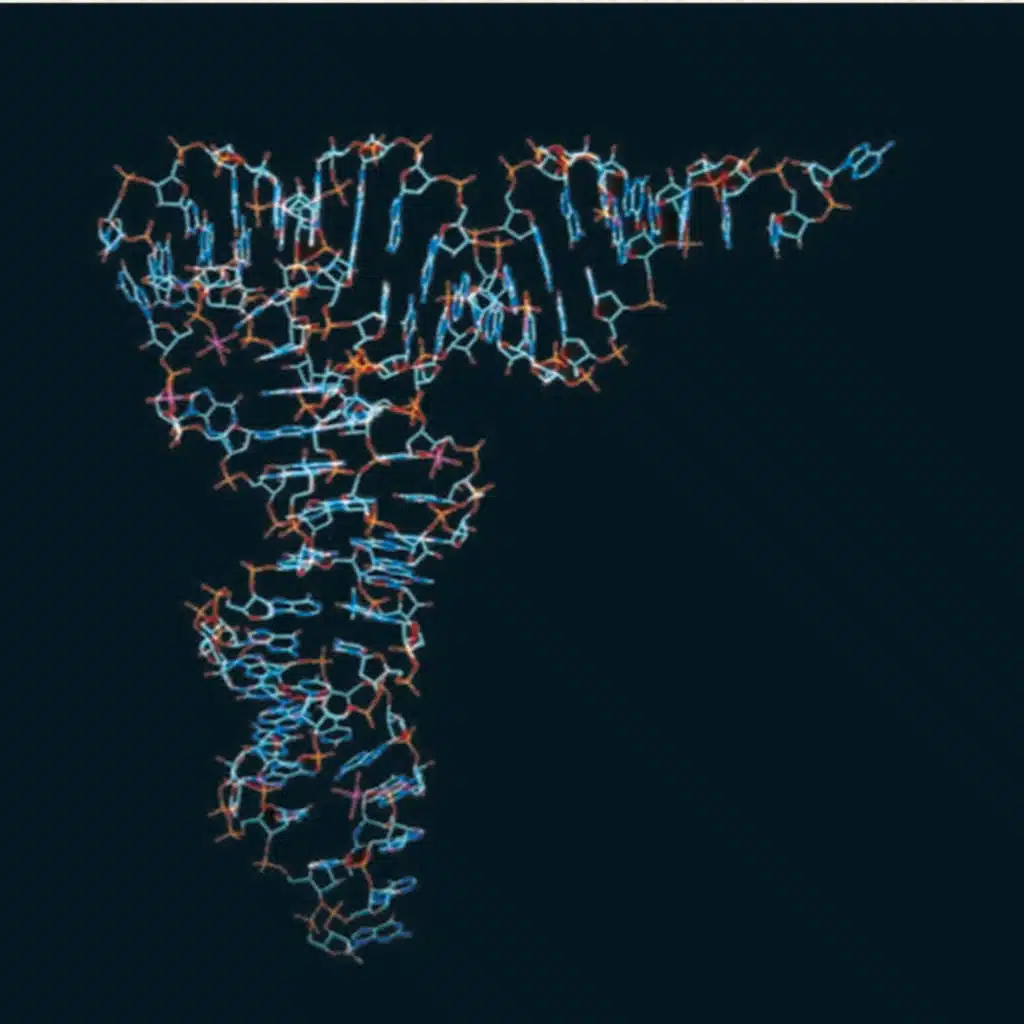  The Mechanism of Translation I: Initiation (CMB part 15)