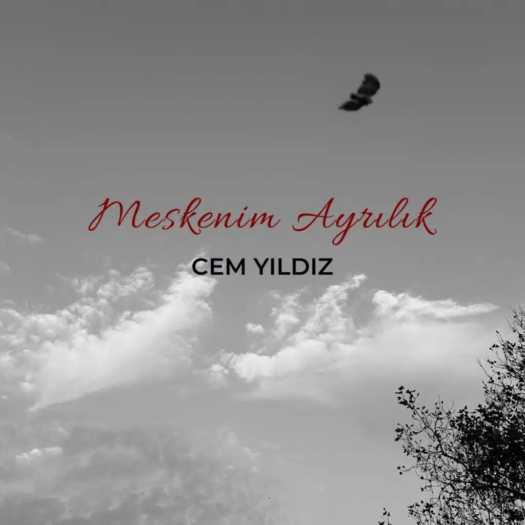 Meskenim Ayrılık