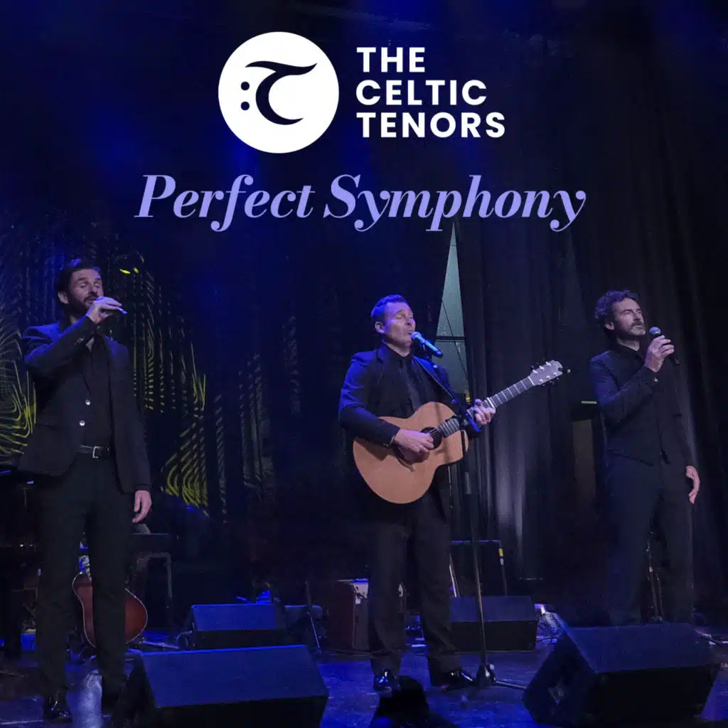 Perfect Symphony (Live)