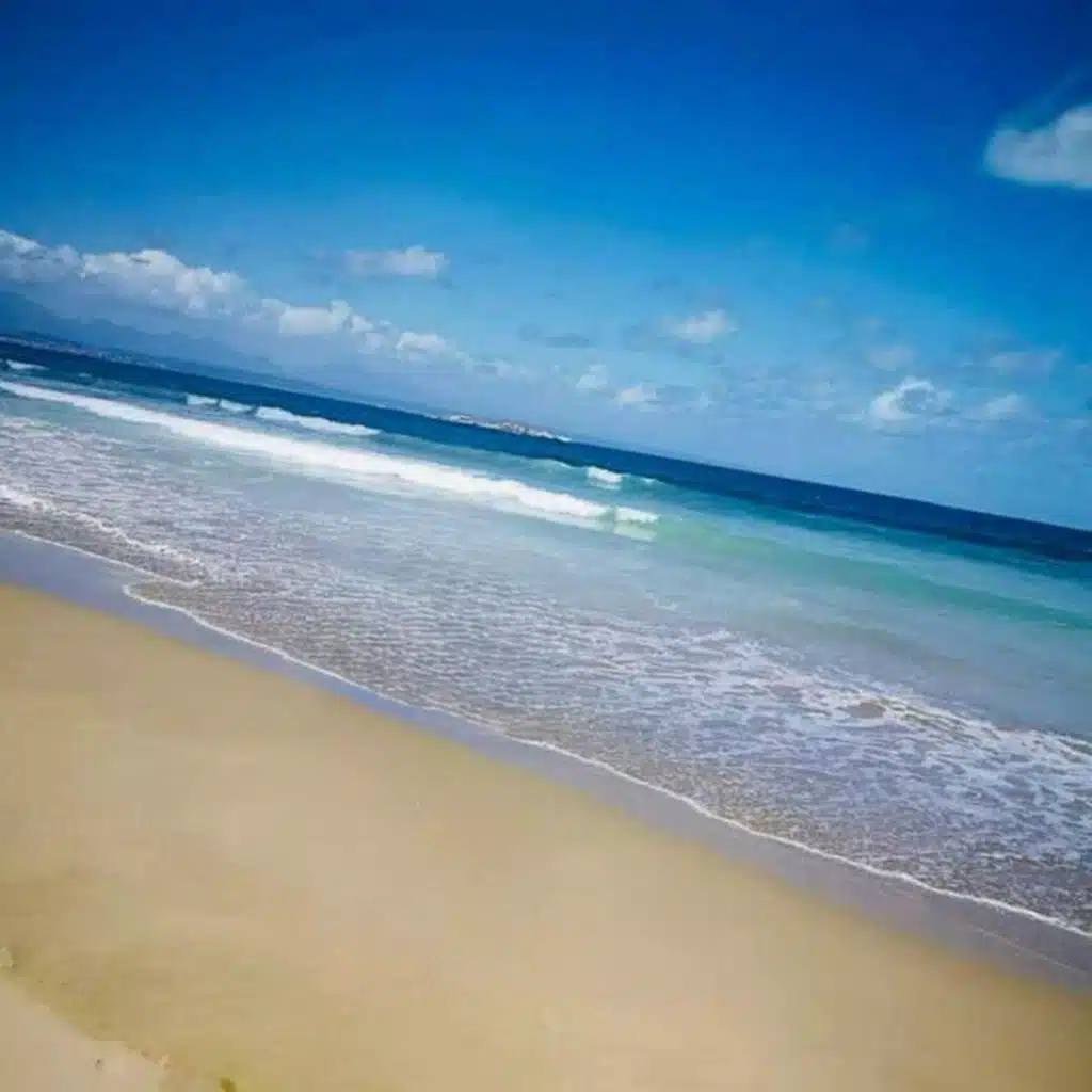 Lilly Lee (feat. Male)