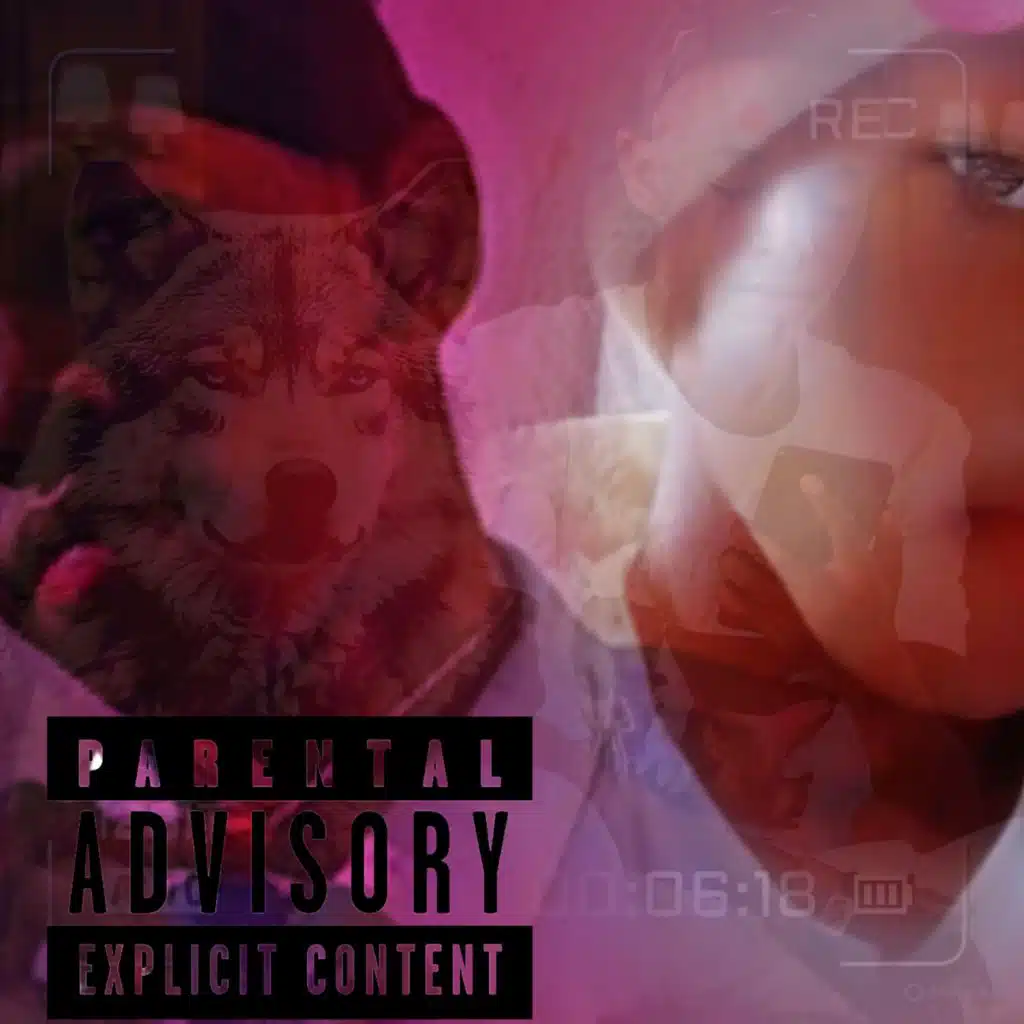 VSTO MUSIC RECORDINGS & MC