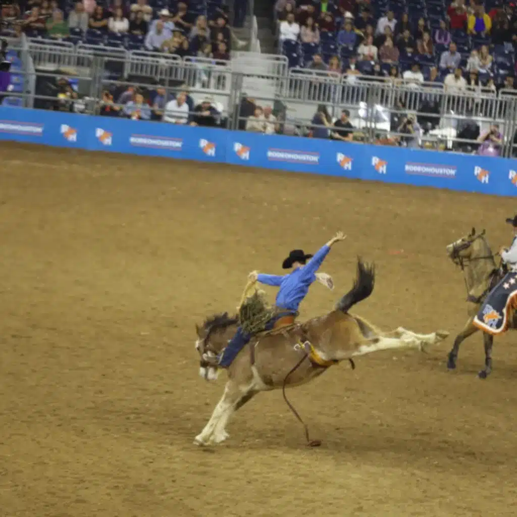 423. Case Report: The Malignant Murmur – More Than Meets the Echo in Nonbacterial Thrombotic Endocarditis – Baylor College of Medicine