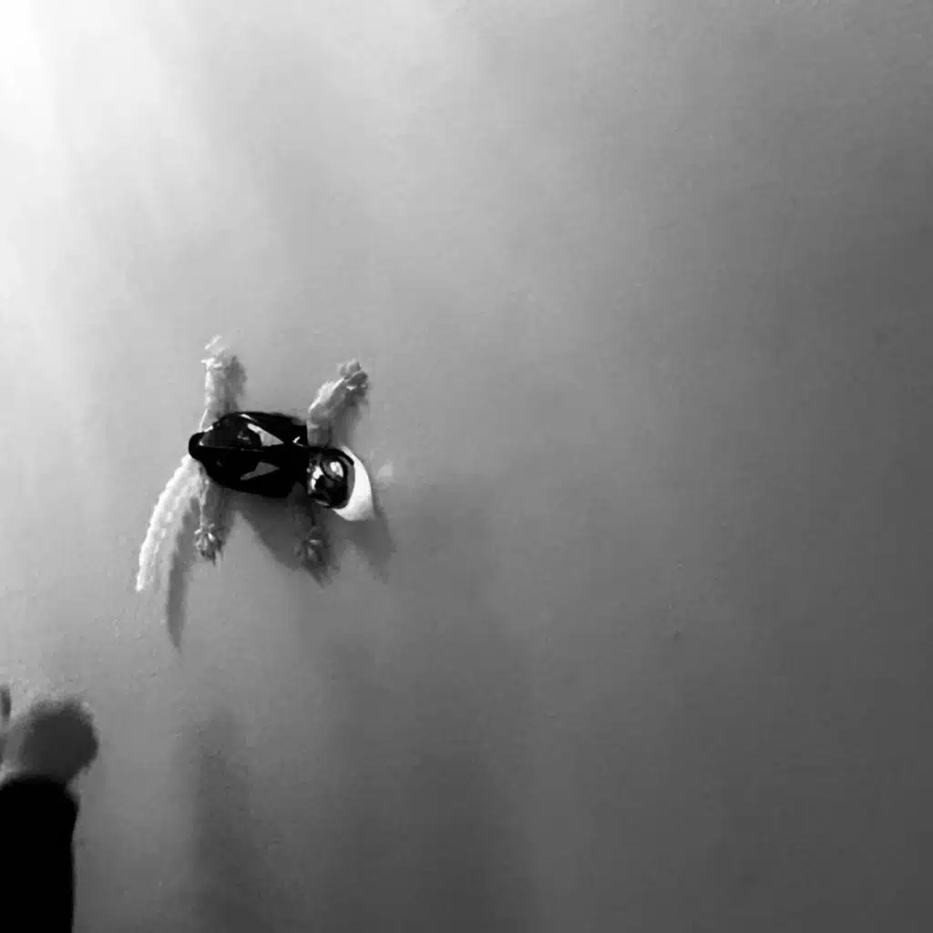 this year's chandelier (demo)