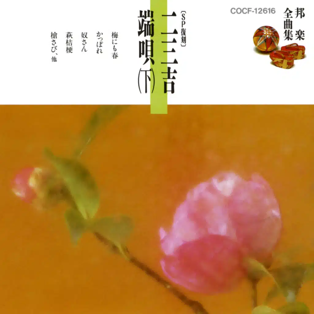 Hagi Kikyou