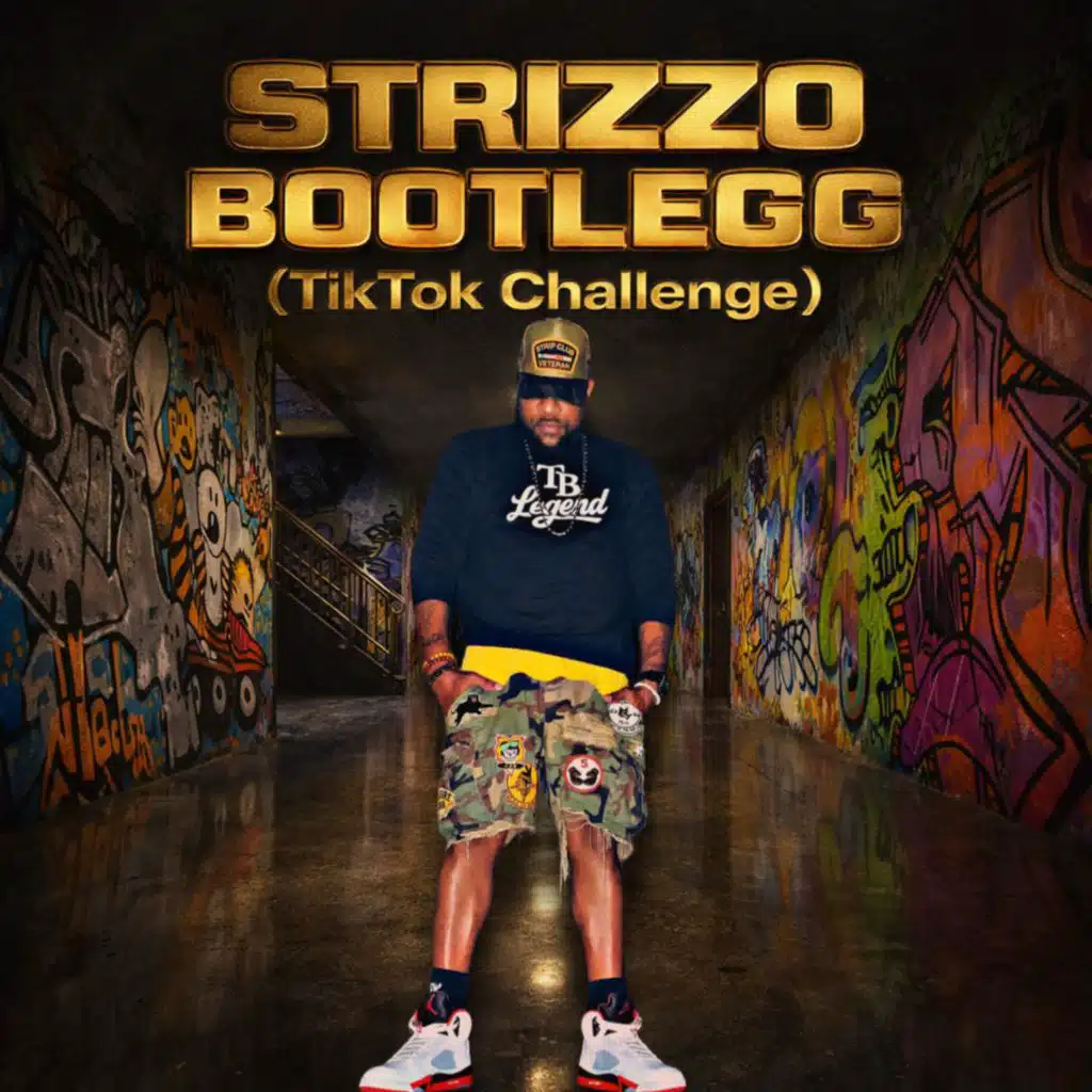 Bootlegg (TikTok Challenge) (feat. DJ Teratory & DJ Chipman)