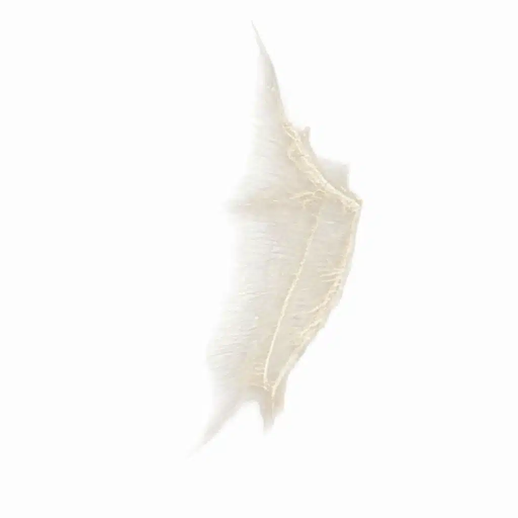 INFINItELY : BUt DIFFERENtLY