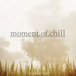Moment Of Chill, Vol. 2 (Finest Selection Of Music To Chill)