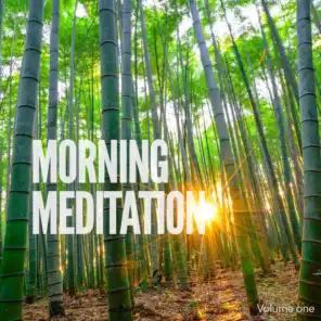 Morning Meditation, Vol. 1