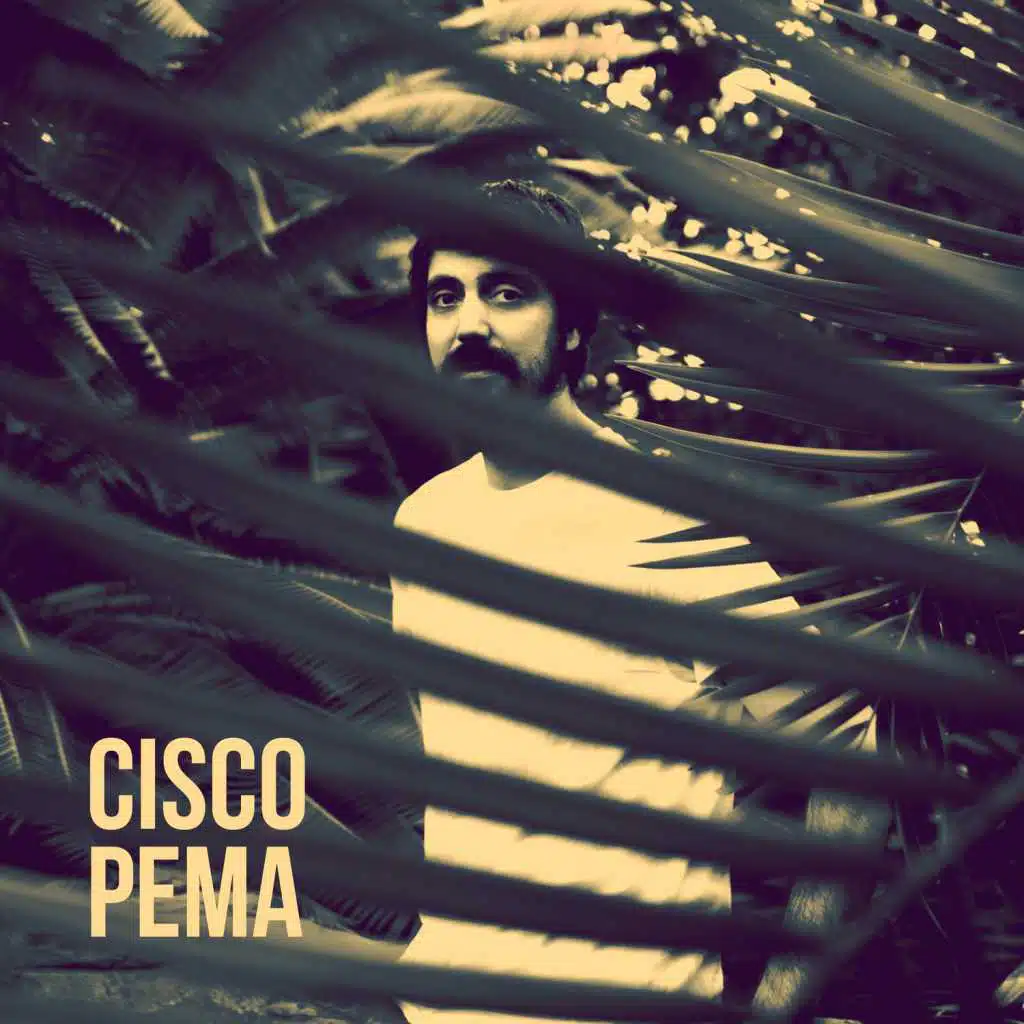 Cisco Pema