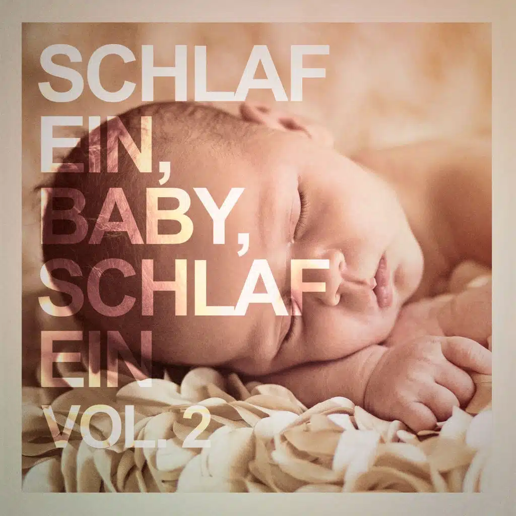 Schlaf ein, Baby, schlaf ein, Vol. 2