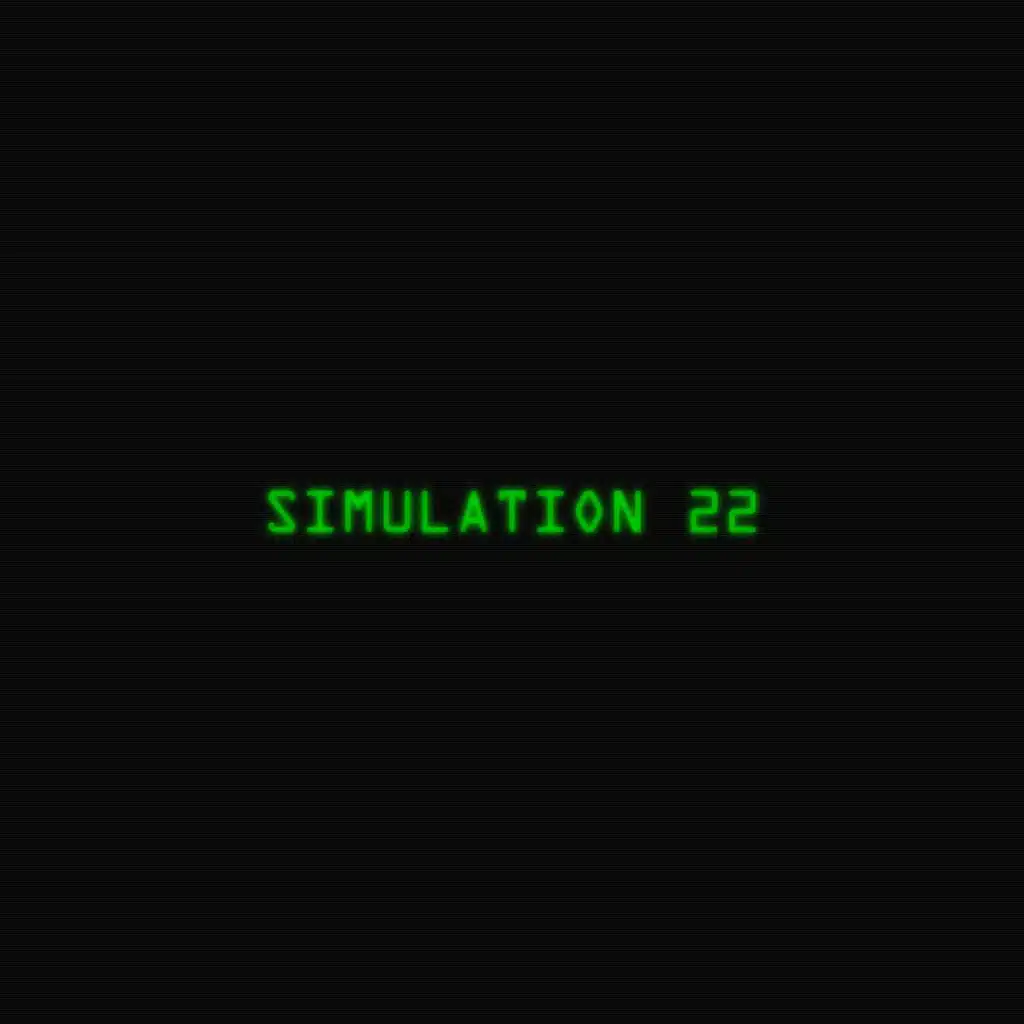 Simulation 22