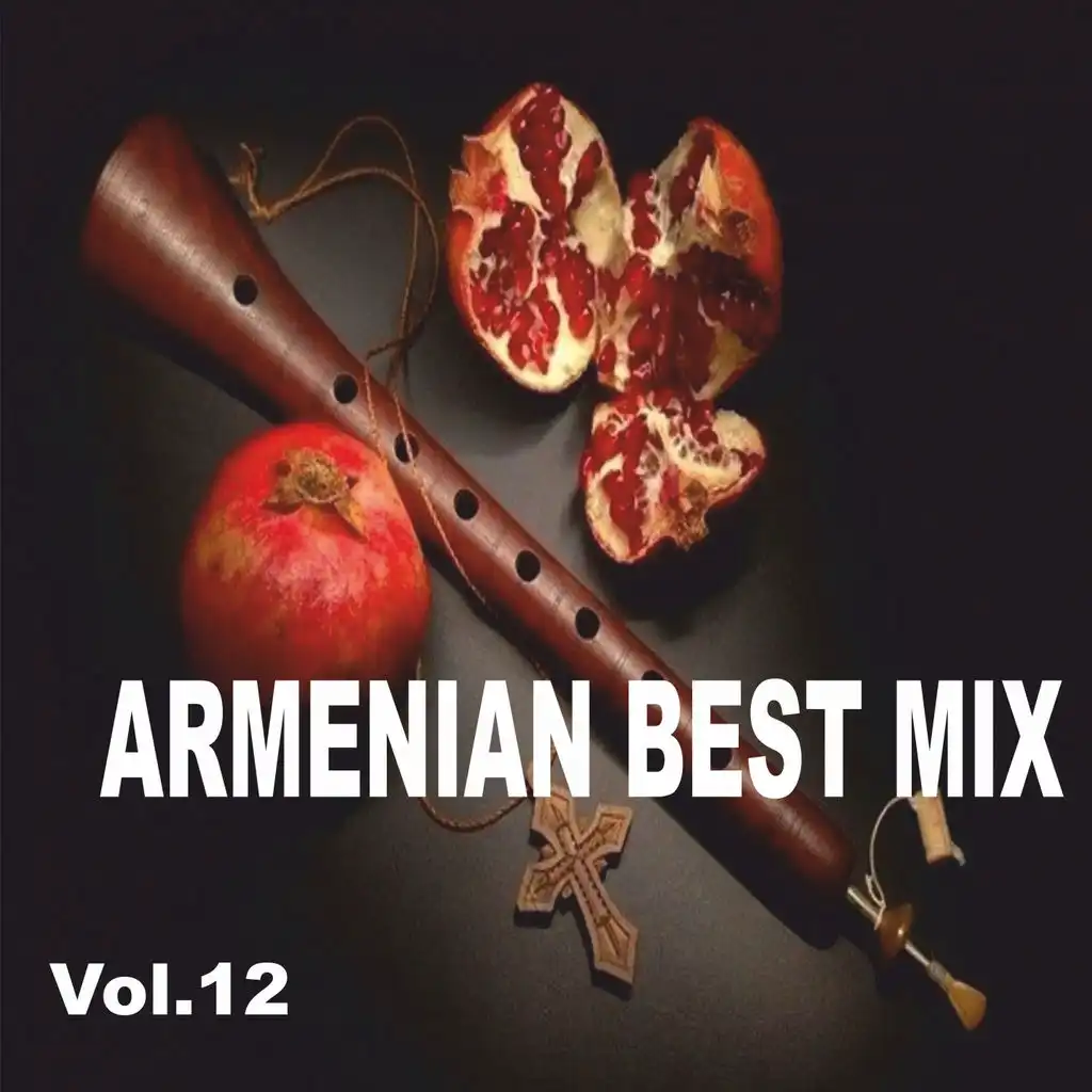 Armenian Best Mix, Vol. 12