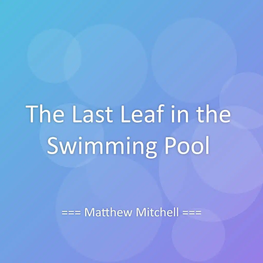 Matthew Mitchell