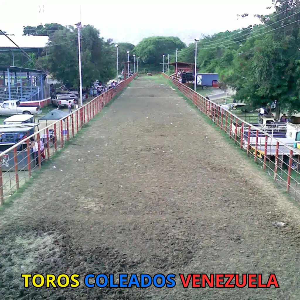 Turno 10 de la Segunda Salida (En vivo)