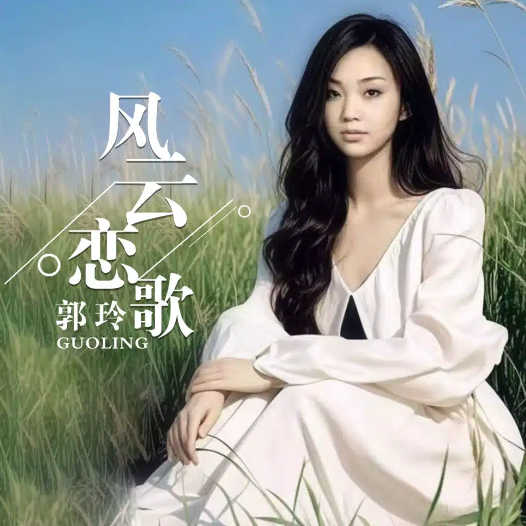 风云恋歌 (Dj何鹏版)