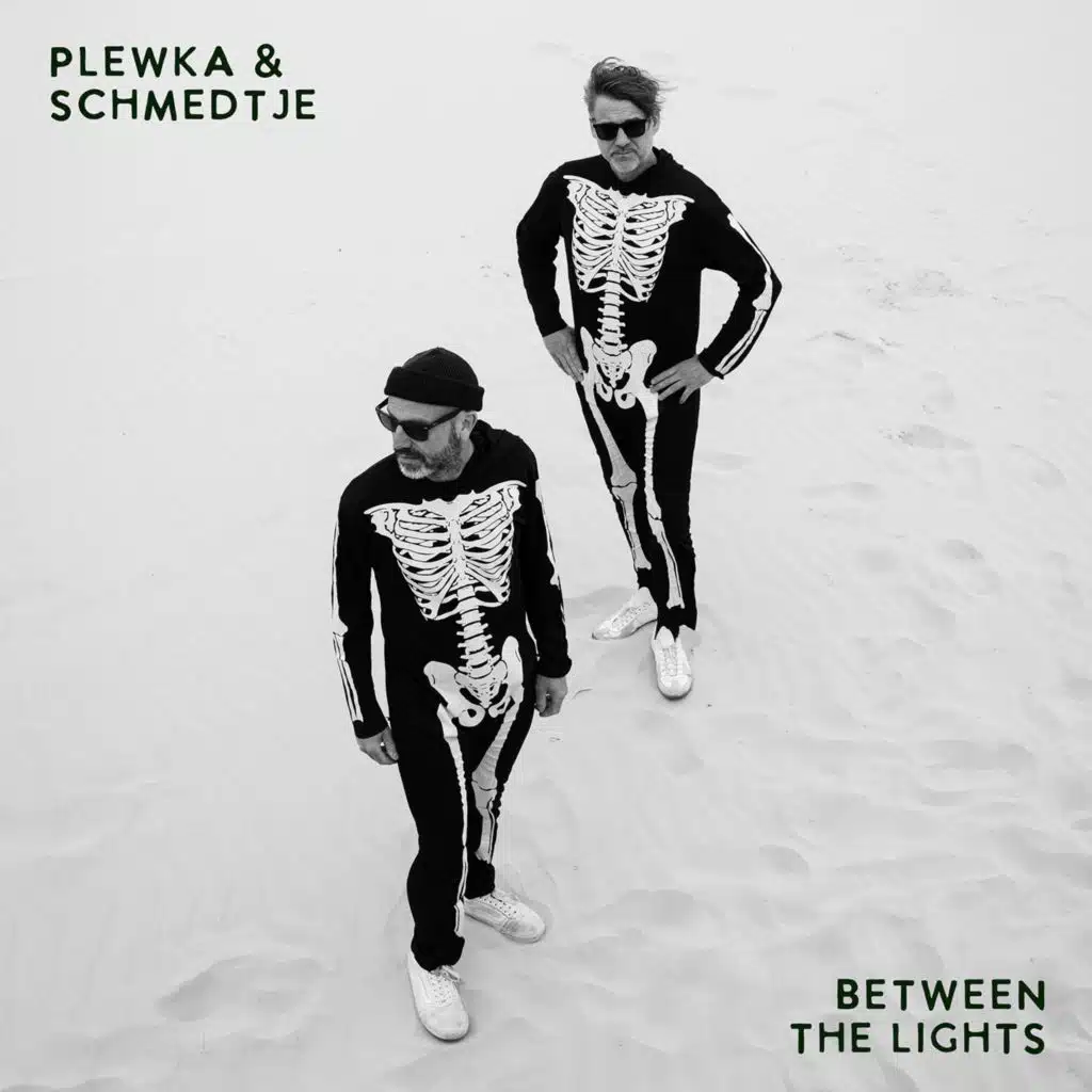 Wonderful Life (Acoustic Remix) [feat. Marco Schmedtje & Jan Plewka]