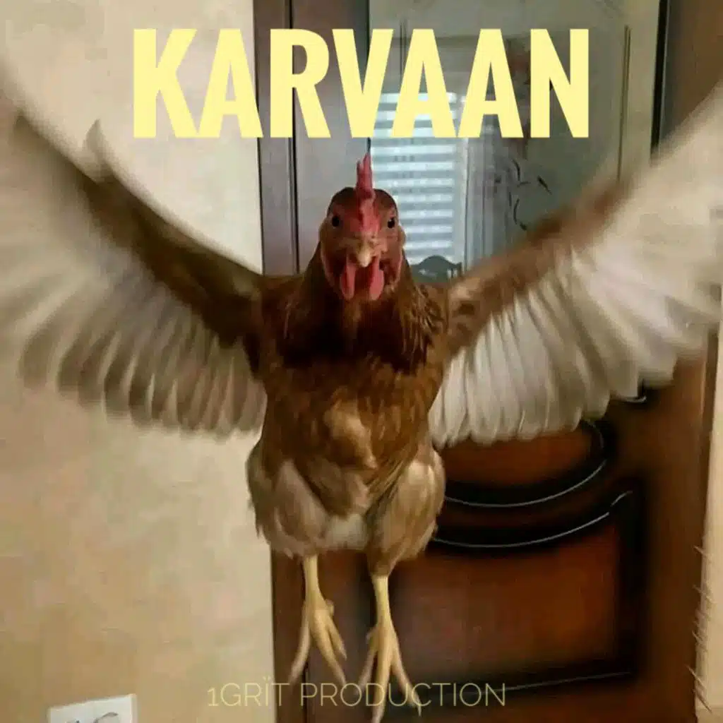 Karvaan
