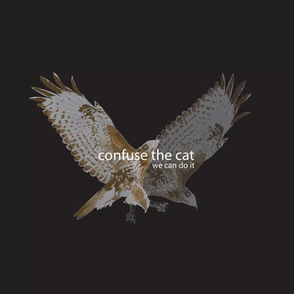 Confuse the Cat