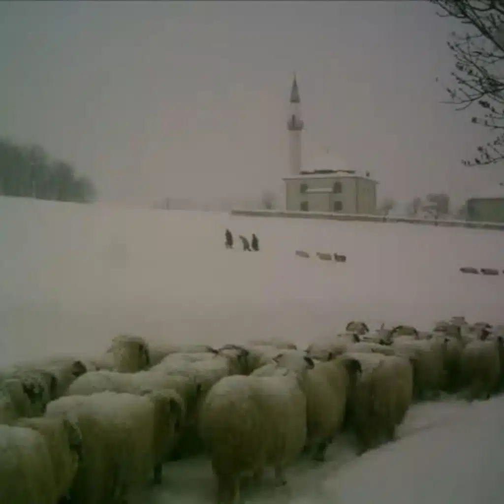 WHAT I WOULD ASK GOD