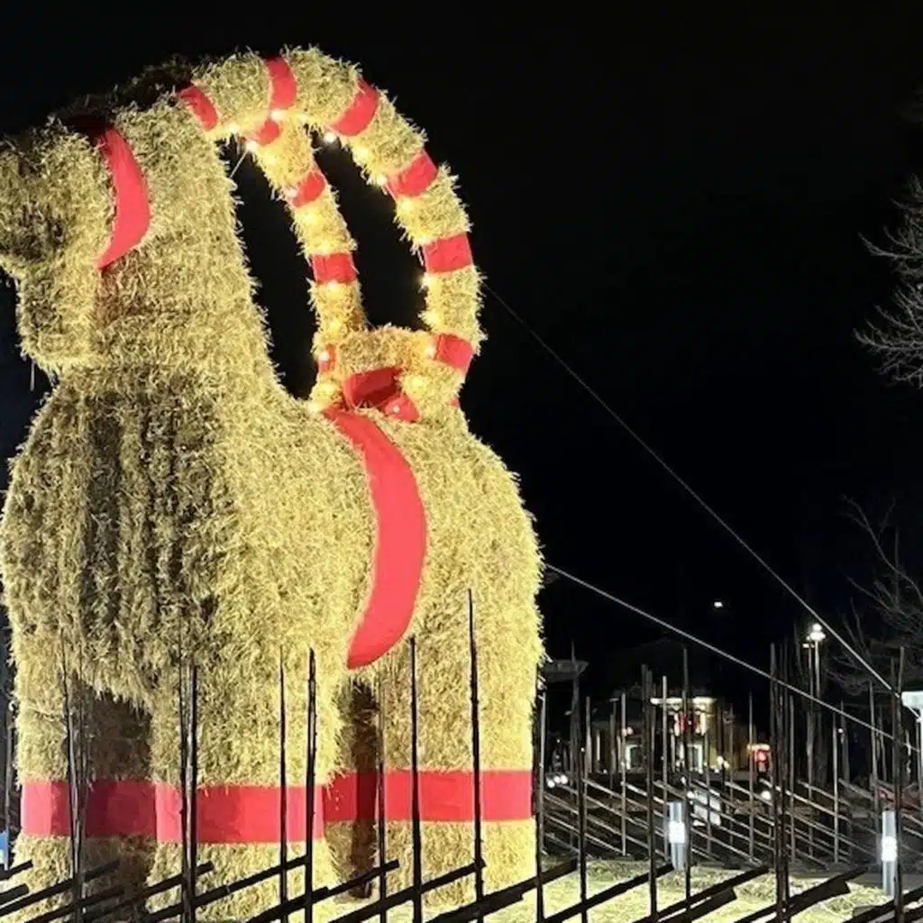 موجز الاثنين 29&nbsp;دیسمبر 2025