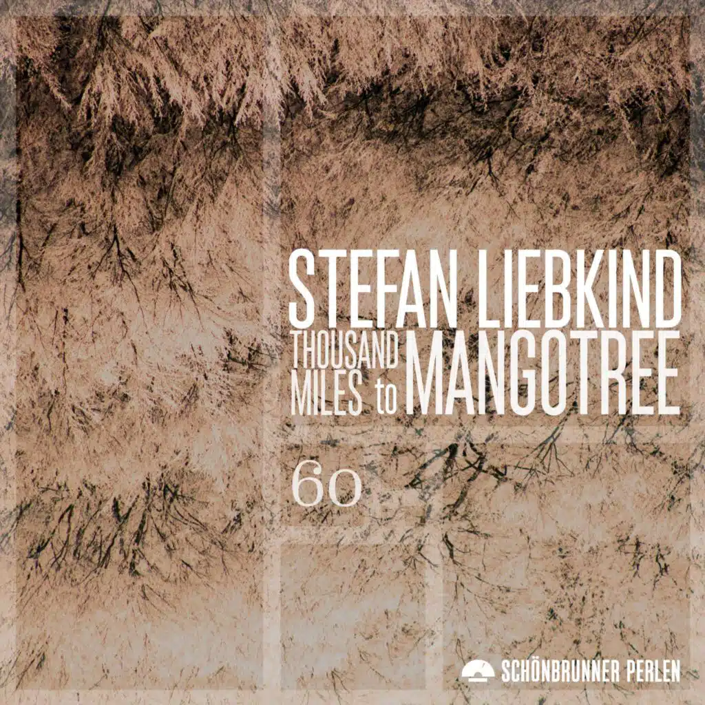Stefan Liebkind