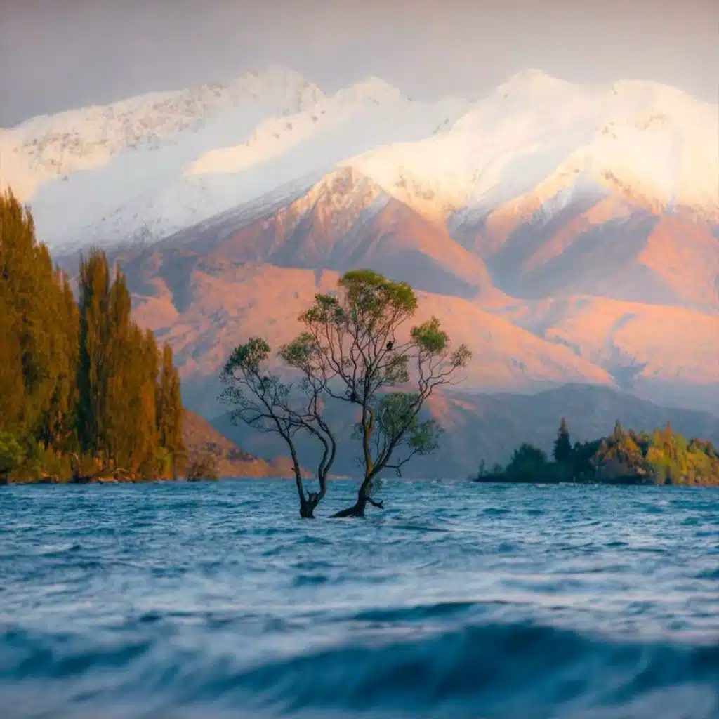 晨曦 丨空灵放松