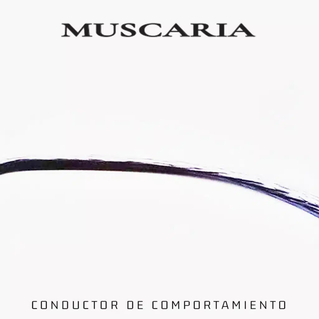 Conductor de Comportamiento