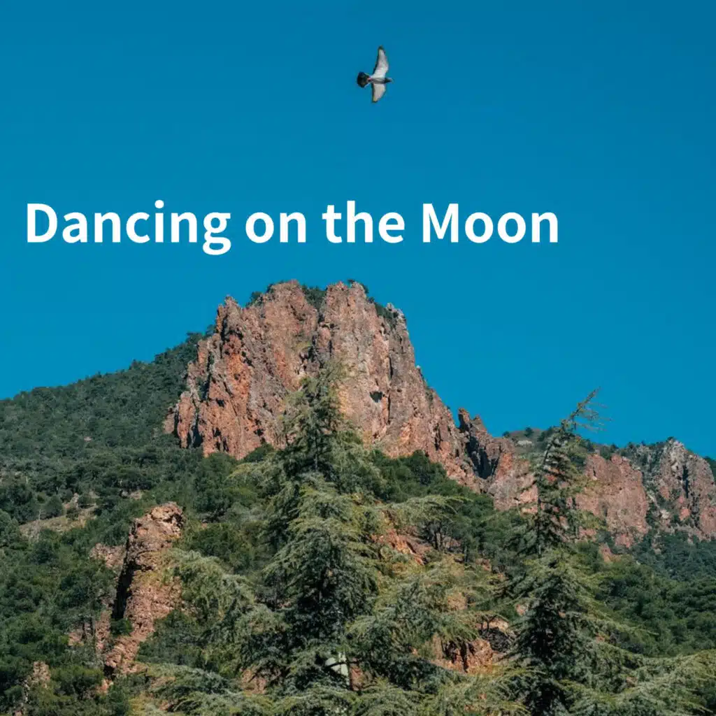 Dancing on the Moon