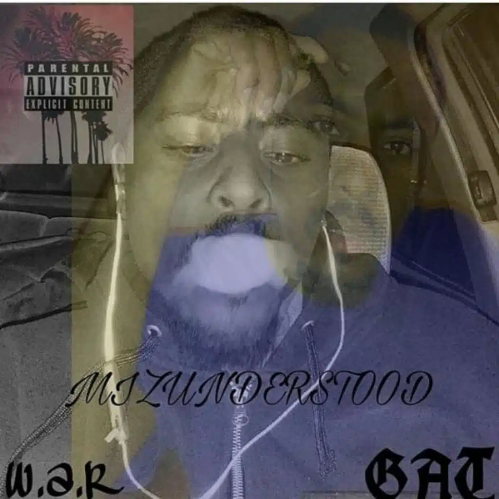 MIZUNDERSTOOD