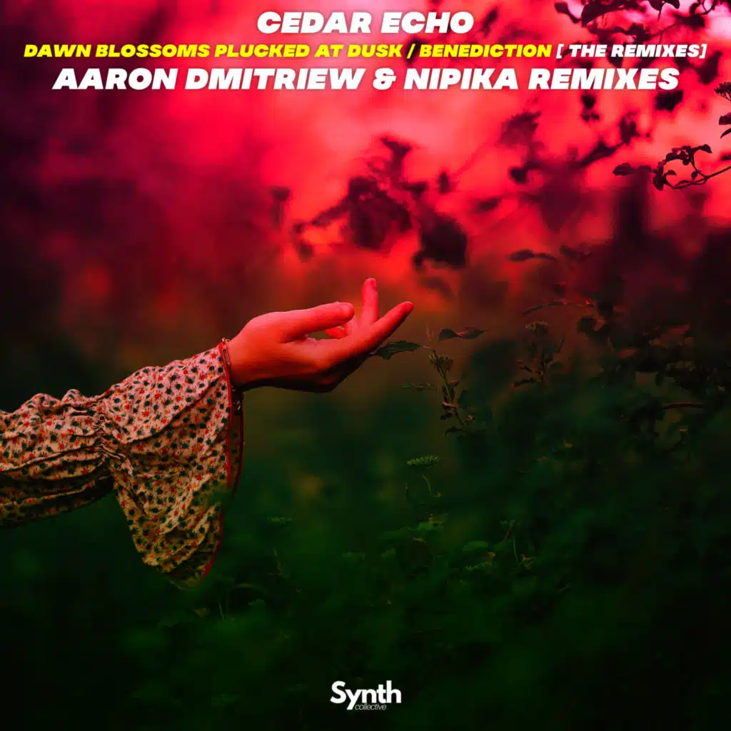 Dawn Blossoms Plucked at Dusk / Benediction [The Remixes]