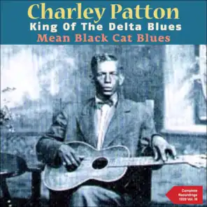 Mean Black Cat Blues (The Complete Recordings 1929, Vol. 3)