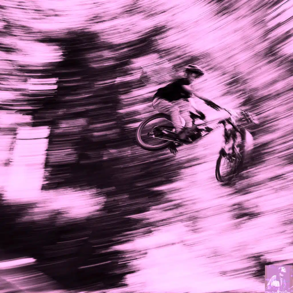 Steve Miggedy Maestro