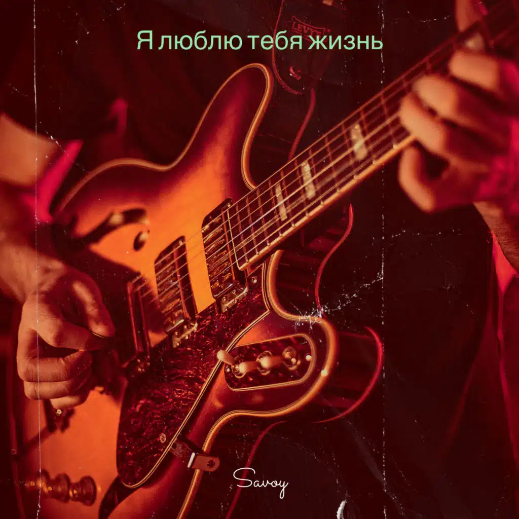 Я люблю тебя жизнь