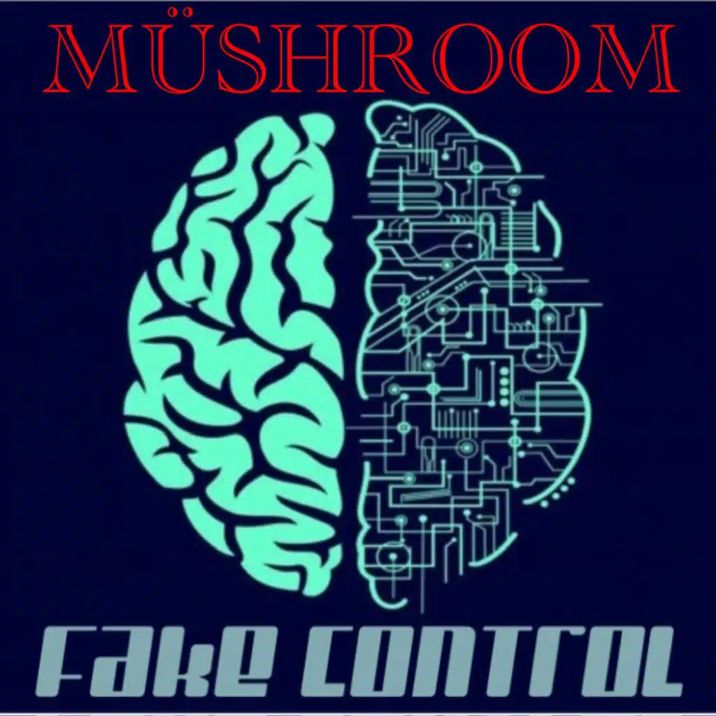 Fake control
