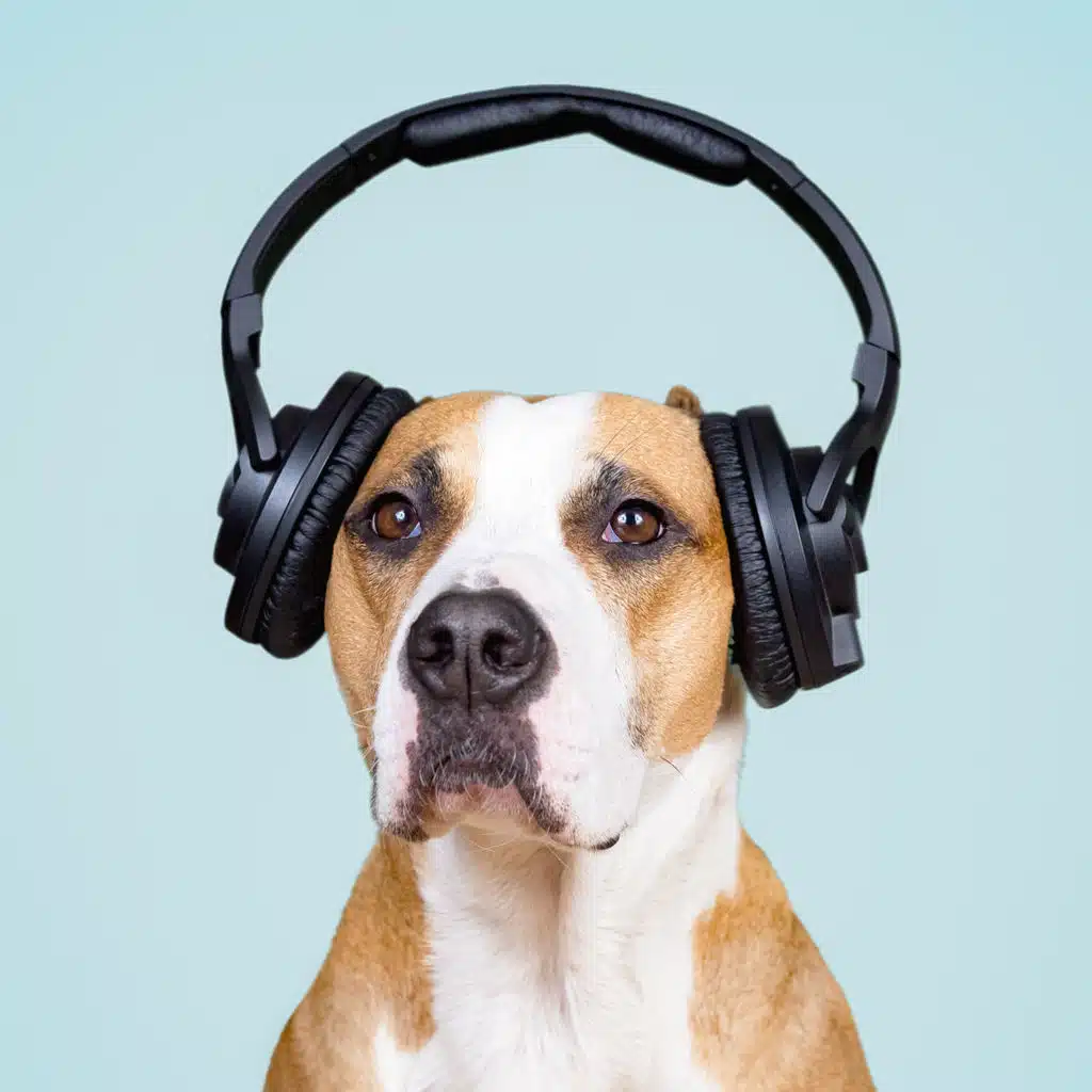 How Noise Affects Our Health