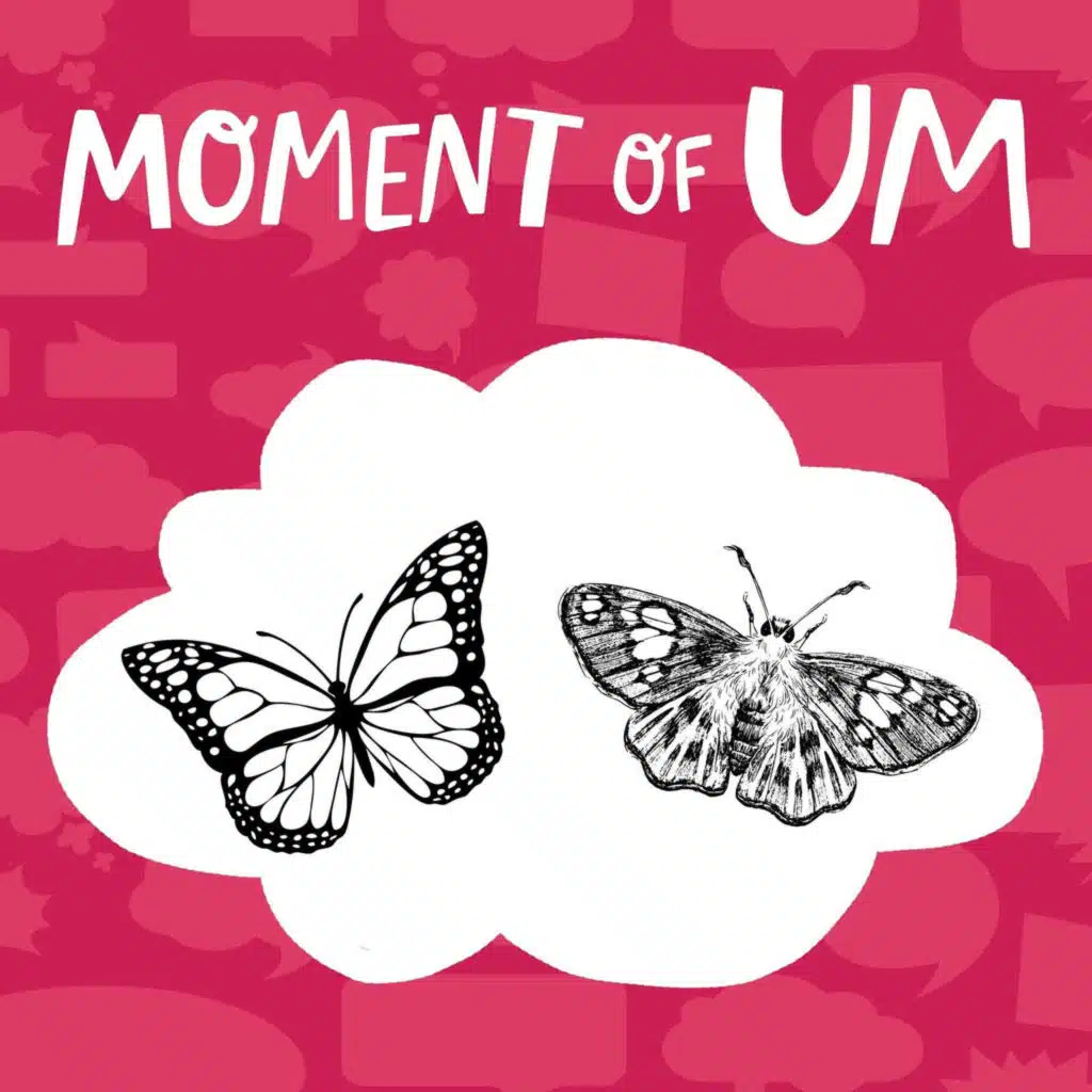 What's the difference between a butterfly and a moth?