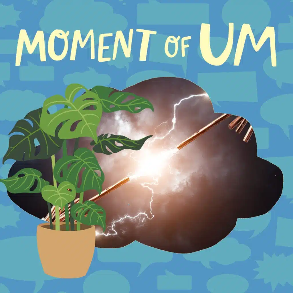 Can plants feel an electric shock?