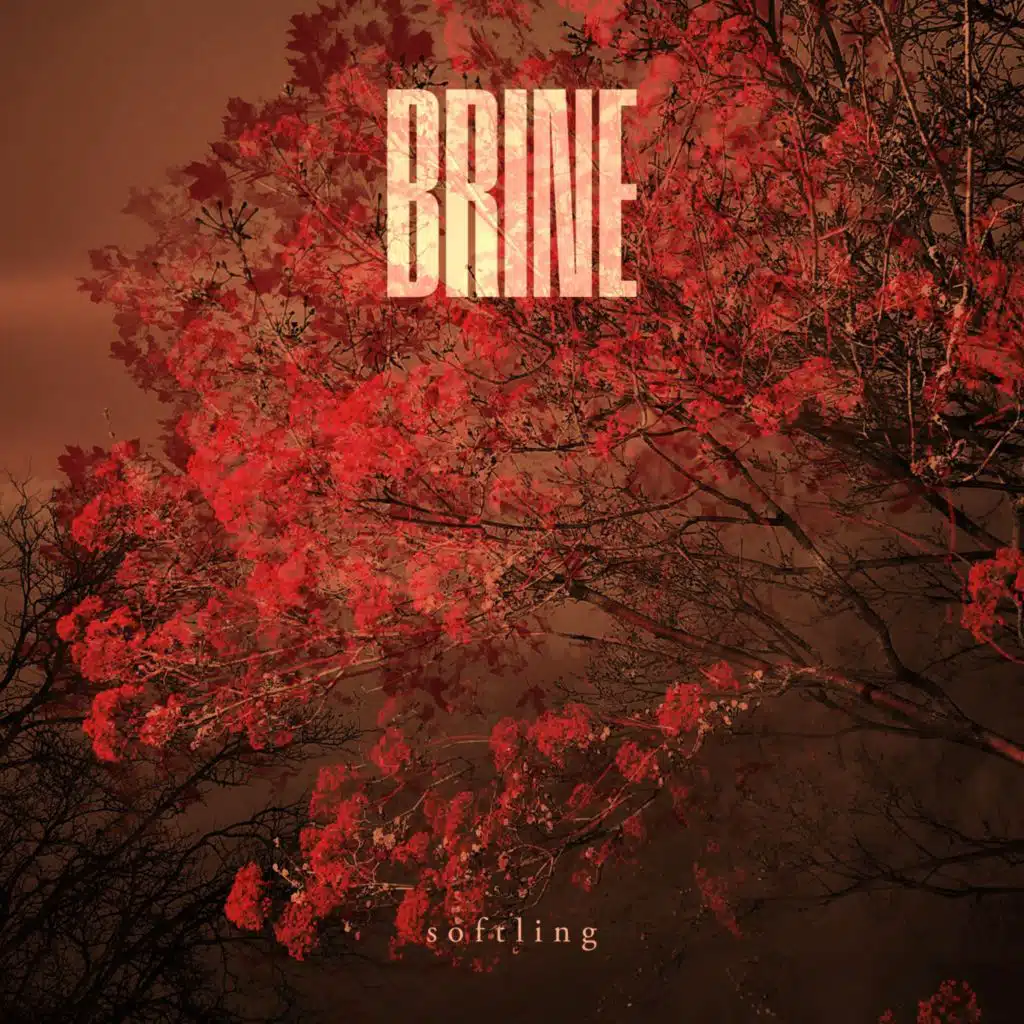 Brine