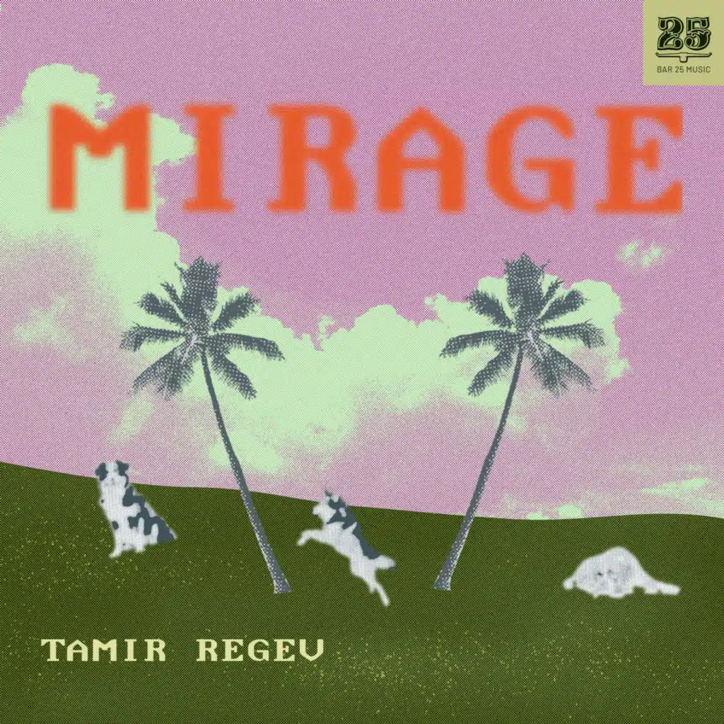 Tamir Regev