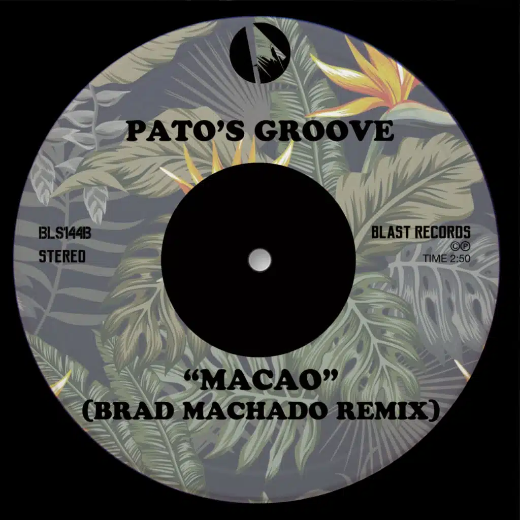 Pato's Groove