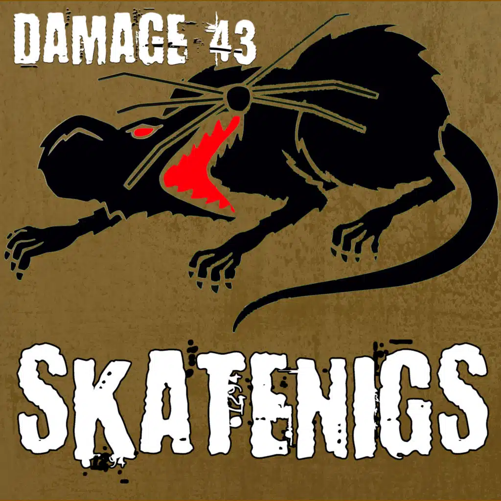 Skatenigs